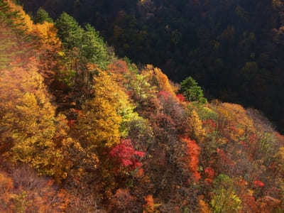 秋の絶景が見た～い！東北6県の紅葉スポット11選1.jpg