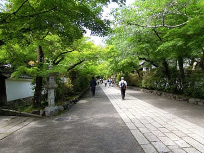 滋賀の名刹「石山寺」を参拝！名物グルメも味わおう1.jpg