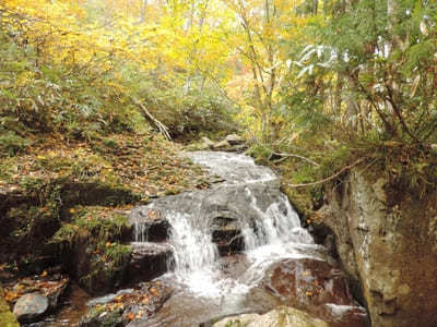 【岐阜:飛騨】紅葉と滝の絶景！「宇津江四十八滝」1.jpg