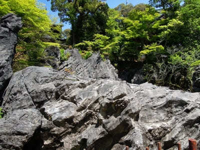 滋賀の名刹「石山寺」を参拝！名物グルメも味わおう1.jpg