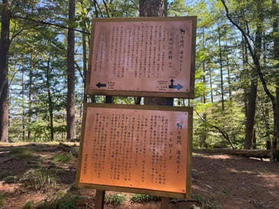 東京都最高峰！雲取山・鴨沢コースの見どころ＆通過ポイント紹介1.jpg