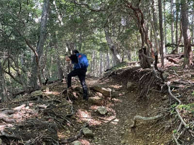 東京都最高峰！雲取山・鴨沢コースの見どころ＆通過ポイント紹介1.jpg