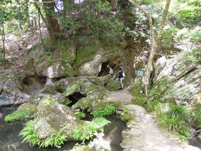 滋賀の名刹「石山寺」を参拝！名物グルメも味わおう1.jpg