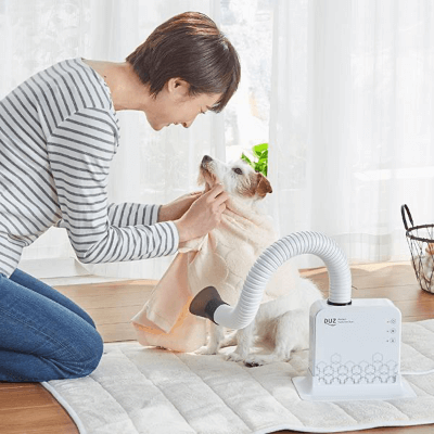 【トリマー監修】おすすめの犬用ドライヤー紹介!乾かし方や選び方を解説!