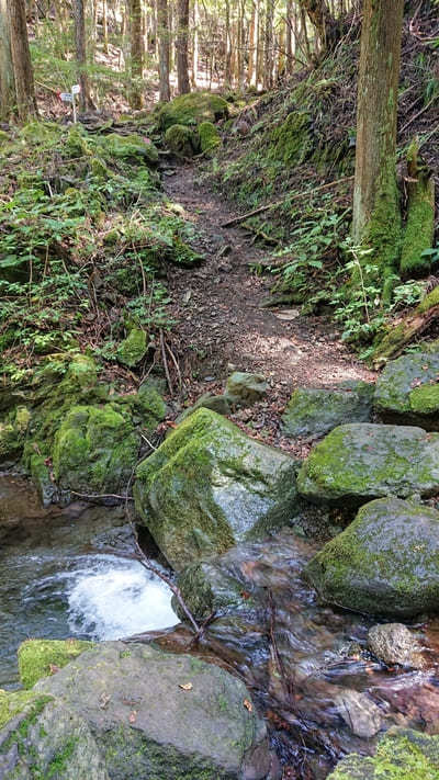 【山梨】秀麗富嶽十二景九番「高畑山」と「倉岳山」を巡る登山コース!!1.jpg