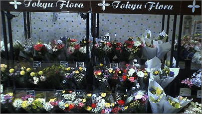 鎌倉市のおすすめ花屋17選！便利な駅前店やギフト向けショップも！