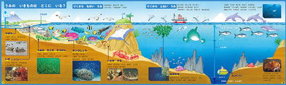 親子でワクワク！高橋書店の人気図鑑から「うみのいきもの」「こんちゅう」が新登場