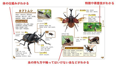 親子でワクワク！高橋書店の人気図鑑から「うみのいきもの」「こんちゅう」が新登場