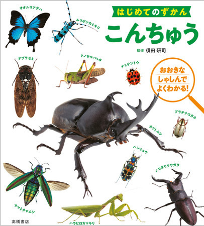 親子でワクワク！高橋書店の人気図鑑から「うみのいきもの」「こんちゅう」が新登場