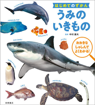 親子でワクワク！高橋書店の人気図鑑から「うみのいきもの」「こんちゅう」が新登場