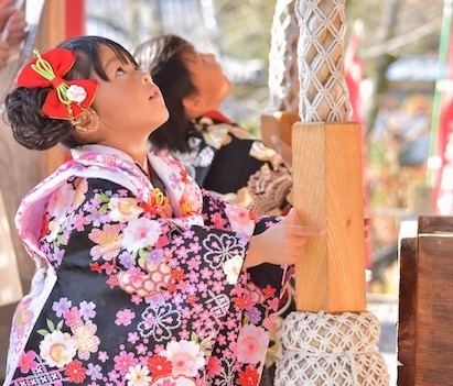 女の子の七五三はいつ？　3歳と7歳のお祝いの違い！ 人気の着物の色は？