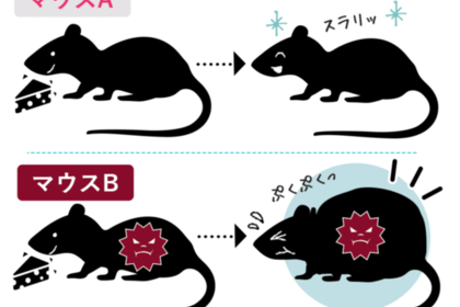 手軽なバナナ酢のダイエット効果は？肌・髪への効果は？