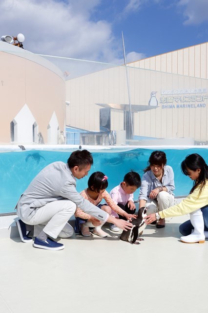 【オススメ3選】三重 水族館を満喫！ペンギンやマンボウのいる人気アクアリウムを紹介！