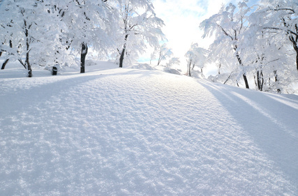 別荘にタダで泊まれるウマい話、現実は雪かきと大そうじが待っていた