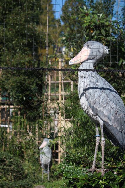 上野動物園を2時間で思いっきり満喫！時間がなくても楽しめる方法教えます