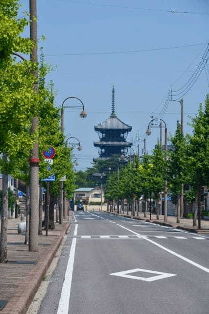 善通寺市のパン屋おすすめ4選！話題の新店舗や地元民が愛する本格ベーカリーも！