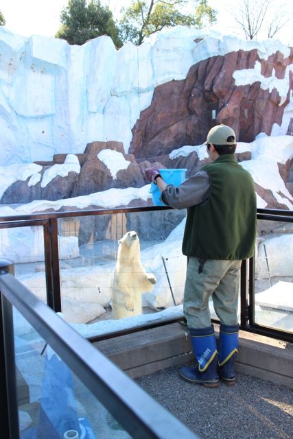 上野動物園を2時間で思いっきり満喫！時間がなくても楽しめる方法教えます