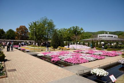 あしかがフラワーパークの魅力を徹底解説【『鬼滅の刃』の聖地⁉︎】