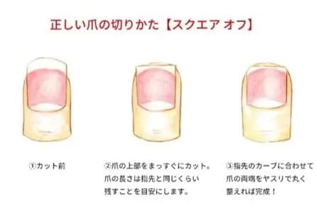 爪切りや靴下で簡単にできる「足のトラブル予防ケア」を実践しよう！