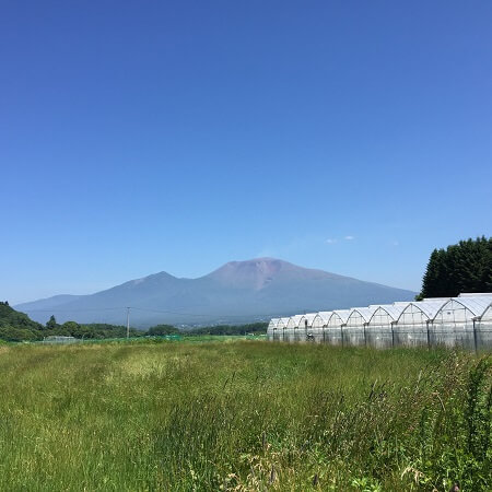 食べごろ果実が主役！オンライン・スイーツブランド「グラン スイート サーカス」登場