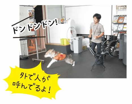 日本聴導犬協会へ取材に行ってきました！