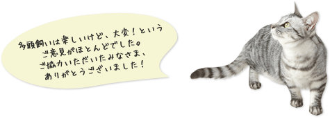 気になる多頭飼い大調査！ みんなで仲良く暮らすには？