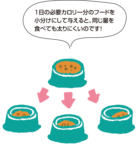 元気の素は食事から！「肥満」を防ぐ生活習慣