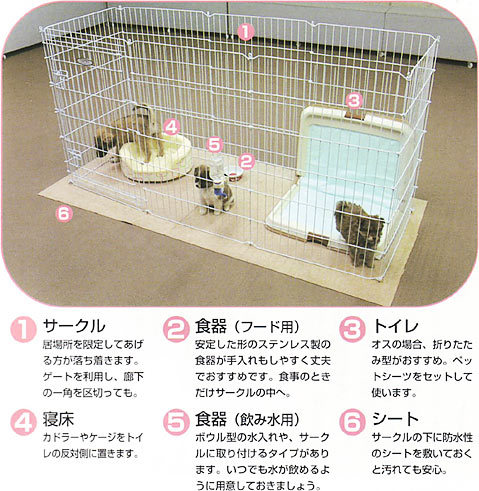 【ドッグトレーナー監修】部屋で放し飼いをしてから、トイレでしなくなってしまいました