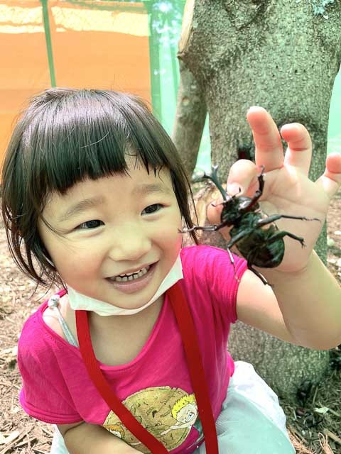 5千匹のクワガタ＆カブトムシとふれあえる！群馬で自分が虫かごに入れちゃう昆虫採集がスタート