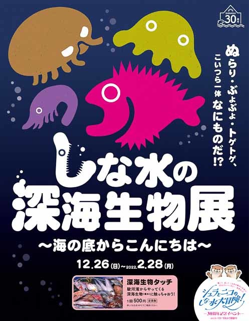 ぶよぶよ、トゲトゲ？「しながわ水族館」で深海生物のさわり心地を体感しちゃおう！