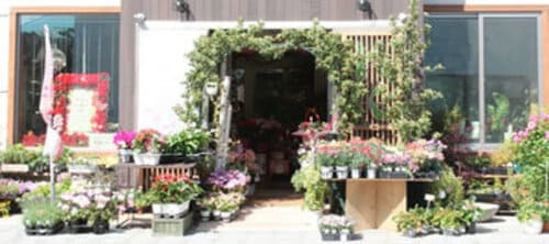 石巻市のおしゃれな花屋11選！便利な駅前店やアレンジ花束が人気な店も！