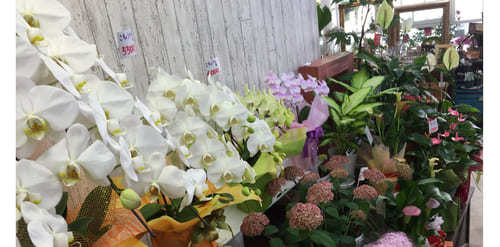 焼津市のおしゃれな花屋11選！便利な駅前店やアレンジ花束が人気な店も！