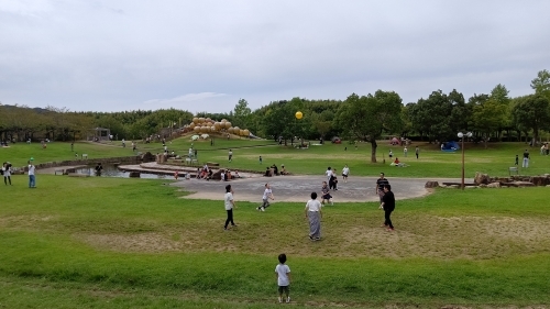 和歌山市初【道の駅 四季の郷公園】で野生を楽しもう！