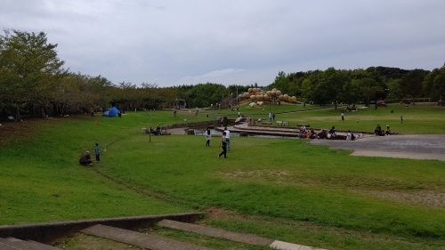 和歌山市初【道の駅 四季の郷公園】で野生を楽しもう！