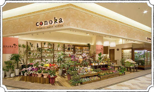 尼崎市のおしゃれな花屋25選！便利な駅前店やアレンジ花束が人気な店も！
