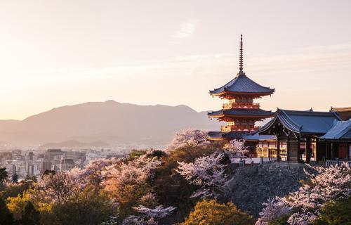 空属性のパワースポット・神社10選｜自分に合う相性のいい属性の調べ方も