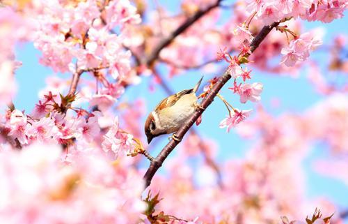 【神戸】3月上旬/中旬/下旬の服装15選！天気や気温に合わせたコーデをご紹介！