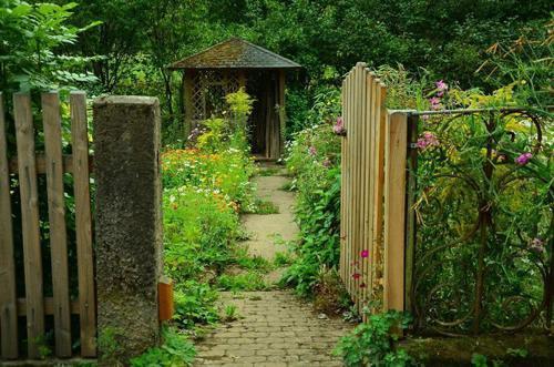 「紫陽花」のおまじないで運気アップ！縁起の良いお花で幸福を引き寄せよう