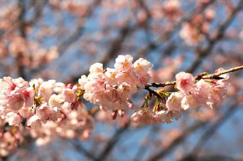 受験合格に導く待ち受け22選。おまじないや画像からパワーをもらって合格祈願