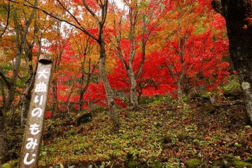 塩原温泉郷いで湯満喫の紅葉ドライブ【栃木】