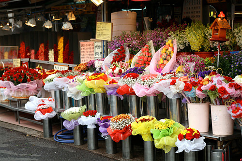 韓国の花ハングゲコッ / 한국의 꽃