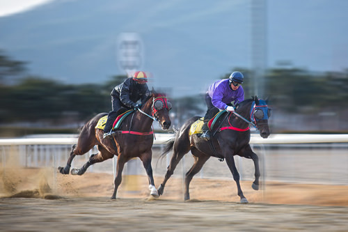 第77回～藤井勘一郎さん(競馬騎手)