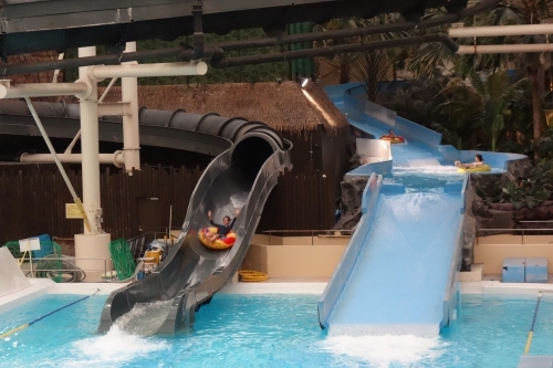 1年中常夏の楽園！スパリゾートハワイアンズの魅力徹底調査【福島】1.jpg