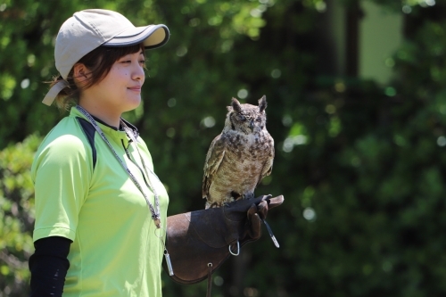 【横浜】人気動物園ランキングTOP4！