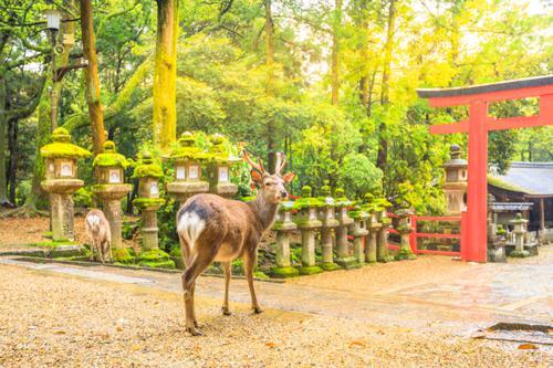 空属性のパワースポット・神社10選｜自分に合う相性のいい属性の調べ方も