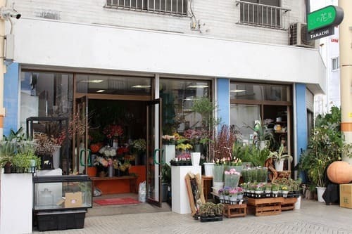 高松市のおしゃれな花屋25選！便利な駅前店やアレンジ花束が人気な店も！
