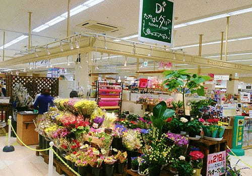 江別市のおしゃれな花屋13選！便利な駅前店やアレンジ花束が人気な店も！