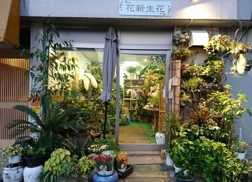 板橋区のおしゃれな花屋22選！便利な駅前店やアレンジ花束が人気な店も！