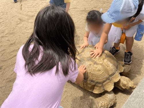 【千葉】都内から日帰りOK「マザー牧場」完全ガイド！遊園地やグランピングも◎1.jpg