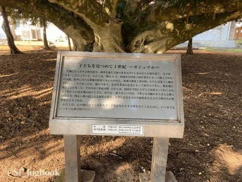 【鹿児島】大河ドラマ『西郷どん』ロケ地！沖永良部島の観光スポットをご紹介！1.jpg